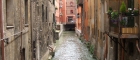 Bologna-Venezia
