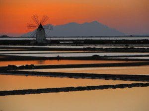 marsala
