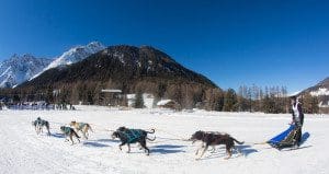 alpen trail