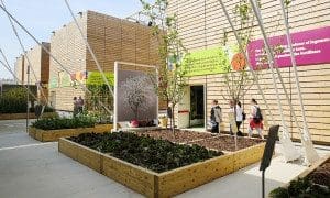 expo milano eventi