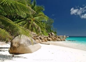 Georgette-Seychelles