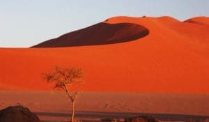 Deserto-rosso