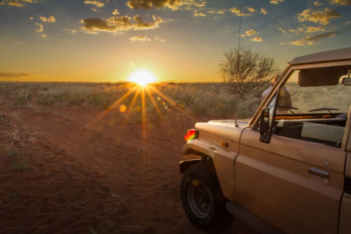 Safari in Namibia