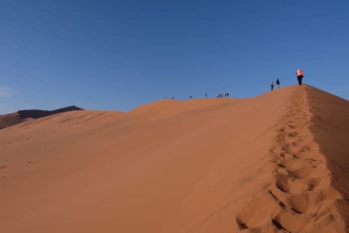 Safari-in-namibia