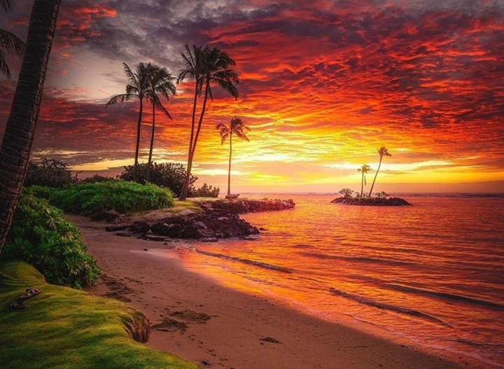 Le mete più belle di Honolulu secondo i turisti