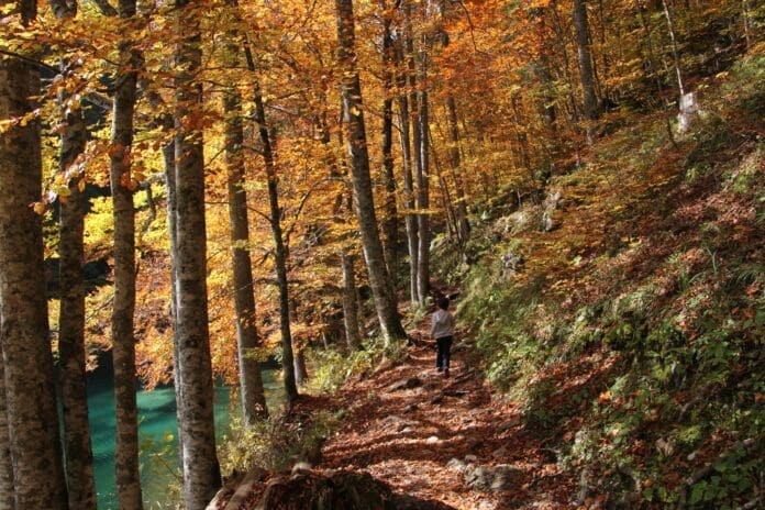 3 Itinerari autunno in moto