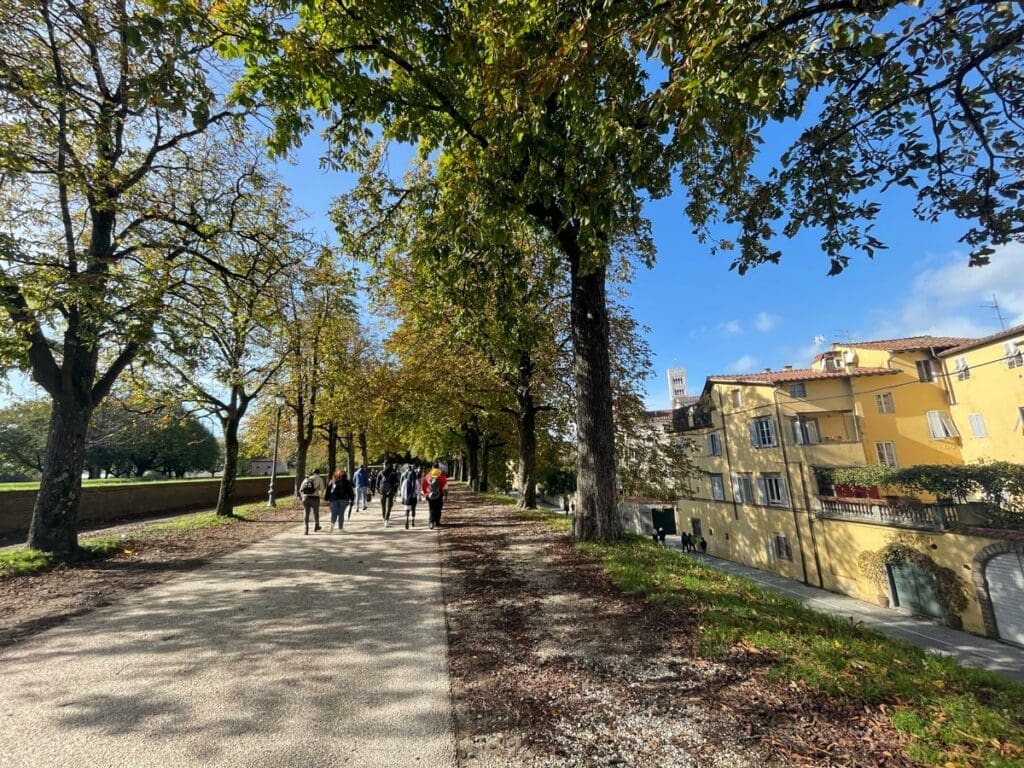 Passeggiata sulle Mura di Lucca