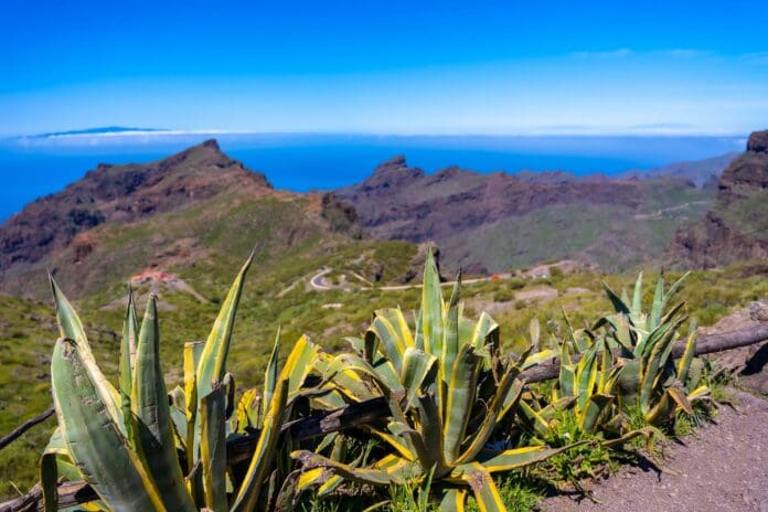 Masca Tenerife