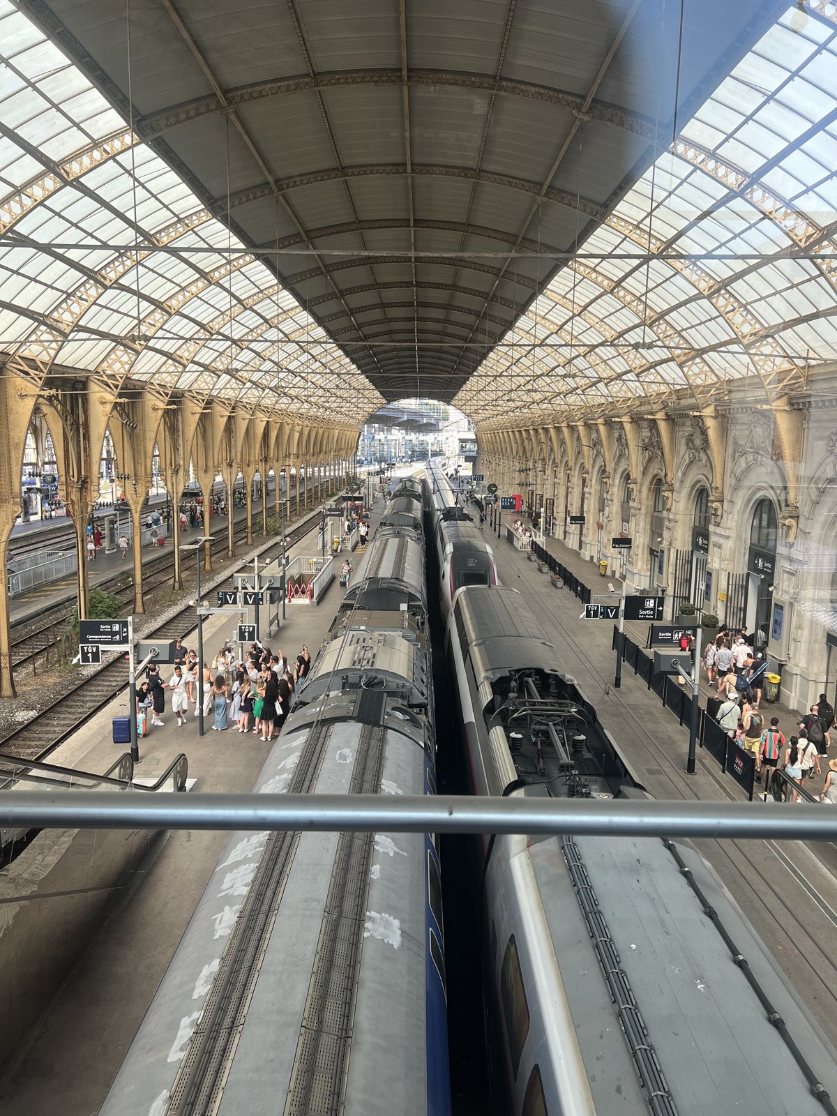 La stazione Nice-Ville con i treni regionali sotto la tettoia in vetro e ferro